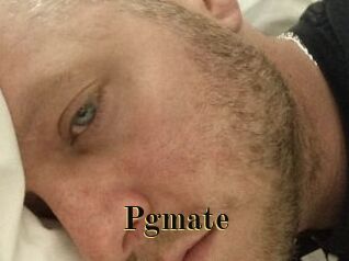 Pgmate