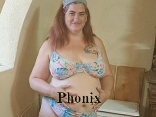 phonix Films 2 Q