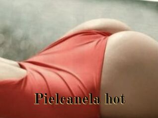 Pielcanela_hot