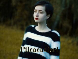 Pileacadieri