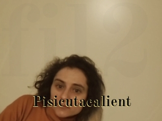 Pisicutacalient