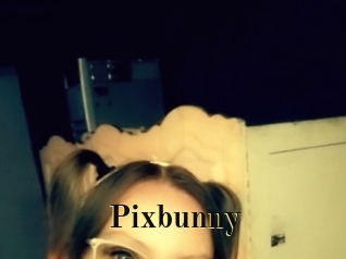 pixbunny Films 2 Q