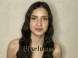 Pixelmuse