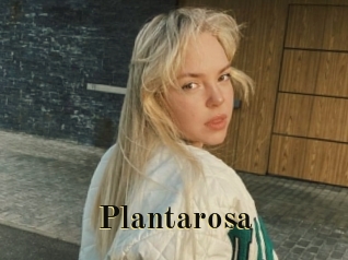 Plantarosa