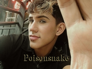 Poisonsnake