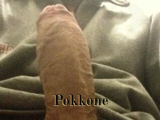 pokkone Films 2 Q