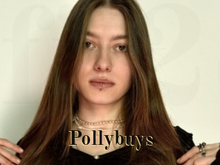pollybuys Films 2 Q
