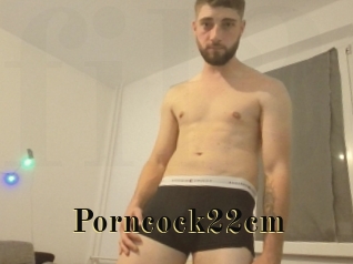 Porncock22cm