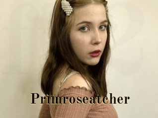 Primroseatcher