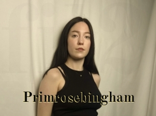 Primrosebingham