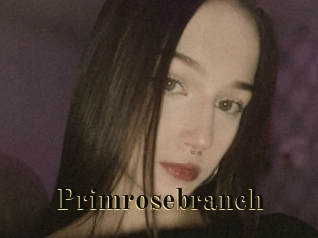 Primrosebranch