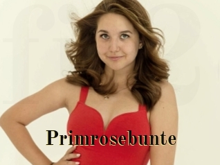 Primrosebunte