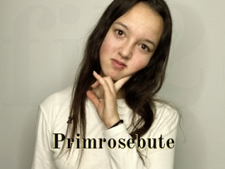 primrosebute Films 2 Q