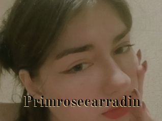 Primrosecarradin
