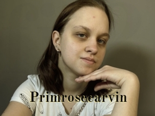 Primrosecarvin