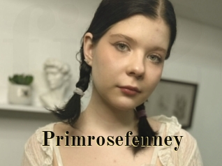 Primrosefenney