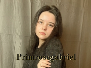 Primrosegabriel