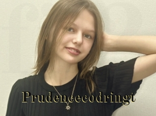 Prudencecodringt