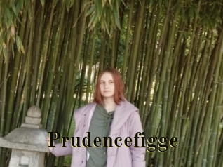 Prudencefigge