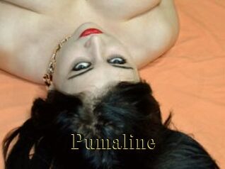 pumaline Films 2 Q