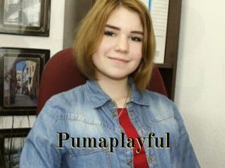 Pumaplayful