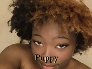 Puppy