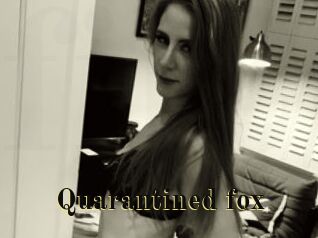 Quarantined_fox