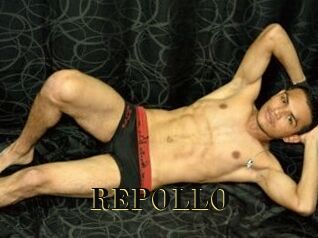REPOLLO