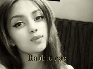 Rabbit_eas