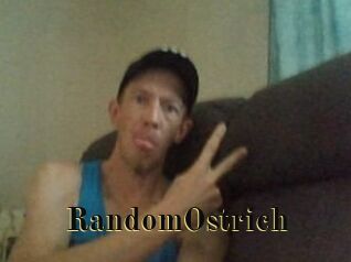 RandomOstrich