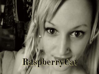 RaspberryCat