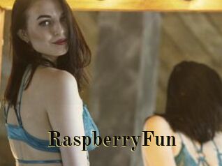RaspberryFun