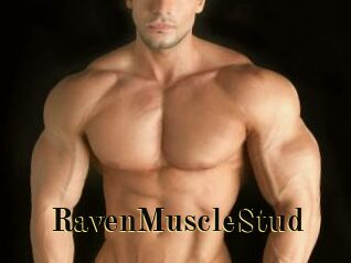 RavenMuscleStud