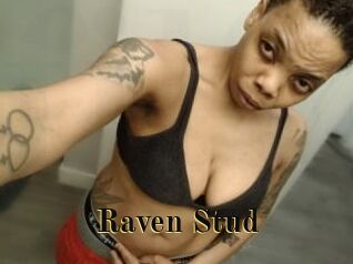 Raven_Stud