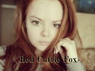 Red_Cuttie_Fox
