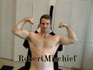 RobertMischief