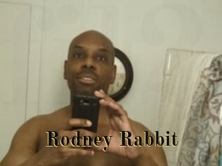 Rodney_Rabbit