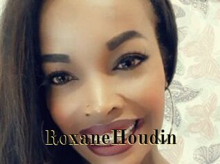 RoxaneHoudin Films 2 Q