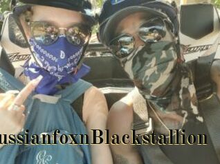 RussianfoxnBlackstallion