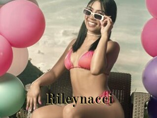 Rileynacci