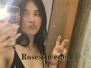 Roses_in_eden