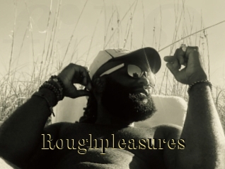 Roughpleasures