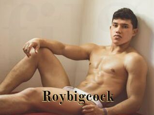 Roybigcock