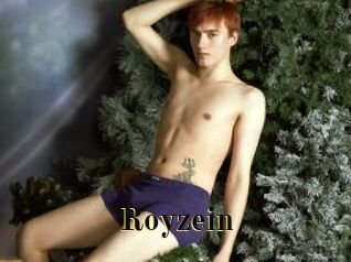 royzein Films 2 Q
