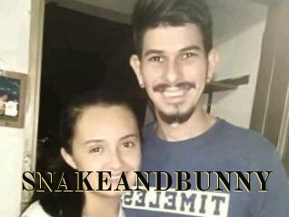 SNAKEANDBUNNY