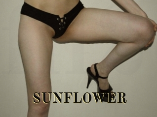 SUNFLOWER Films 2 Q
