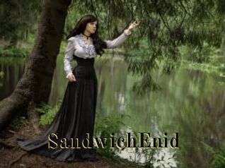 SandwichEnid