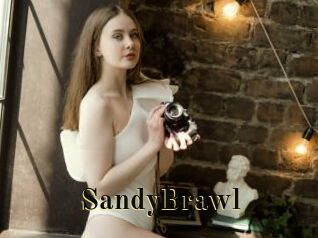 SandyBrawl