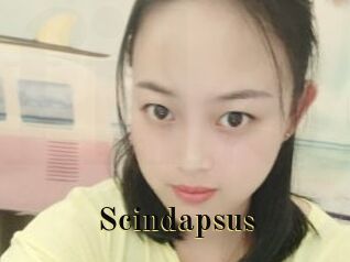 Scindapsus