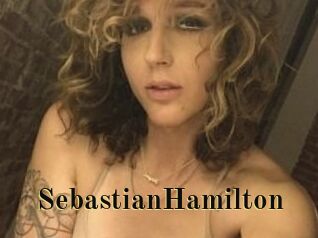 Sebastian_Hamilton